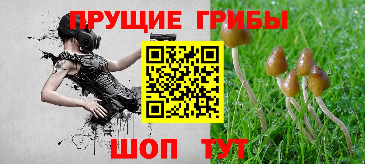 Абинск  Галлюциногенные грибы ЛСД  Галлюциногенные грибы Psilocybe  Вход с VPN 