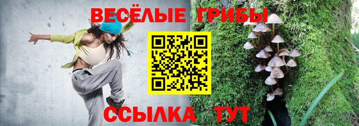 Псилоцибиновые грибы мухоморы Абинск