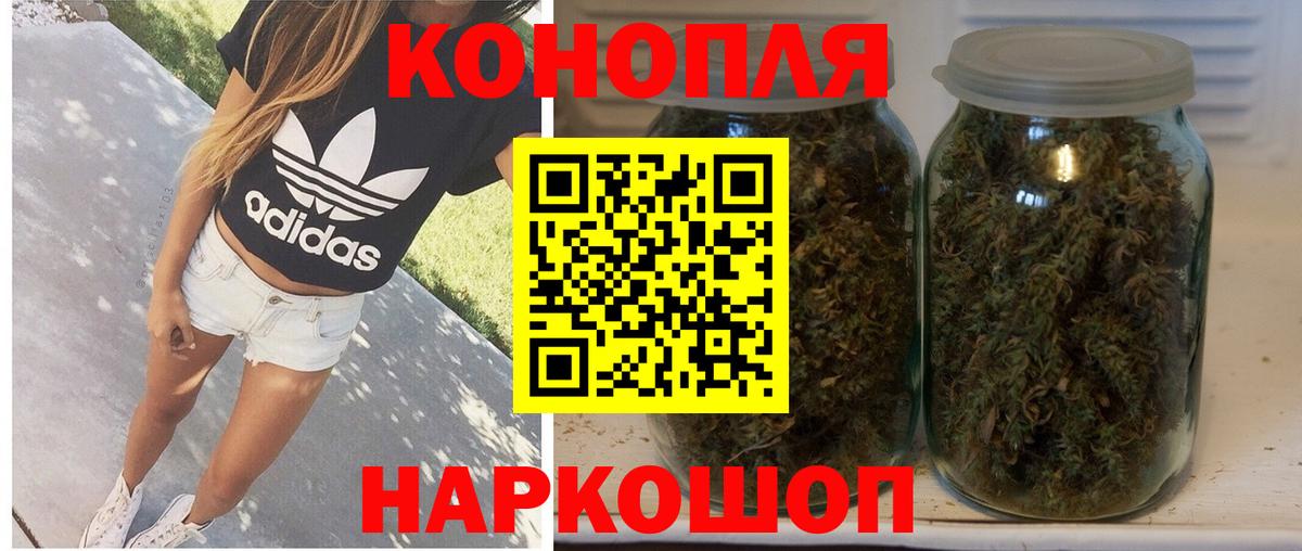 Бошки марихуана семена  МАРИХУАНА White Widow  Абинск  Конопля сатива  Вход с VPN 
